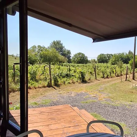 Casa vacanze Tiny Badacsony *